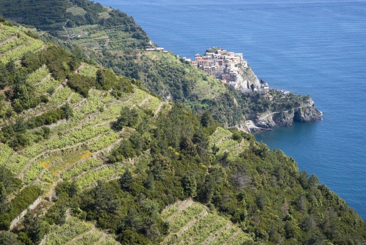 La Casa Fra Gli Ulivi Luxury Apartments With Pool Near Cinque Terre And Tuscany مونتيمارتشيلو المظهر الخارجي الصورة