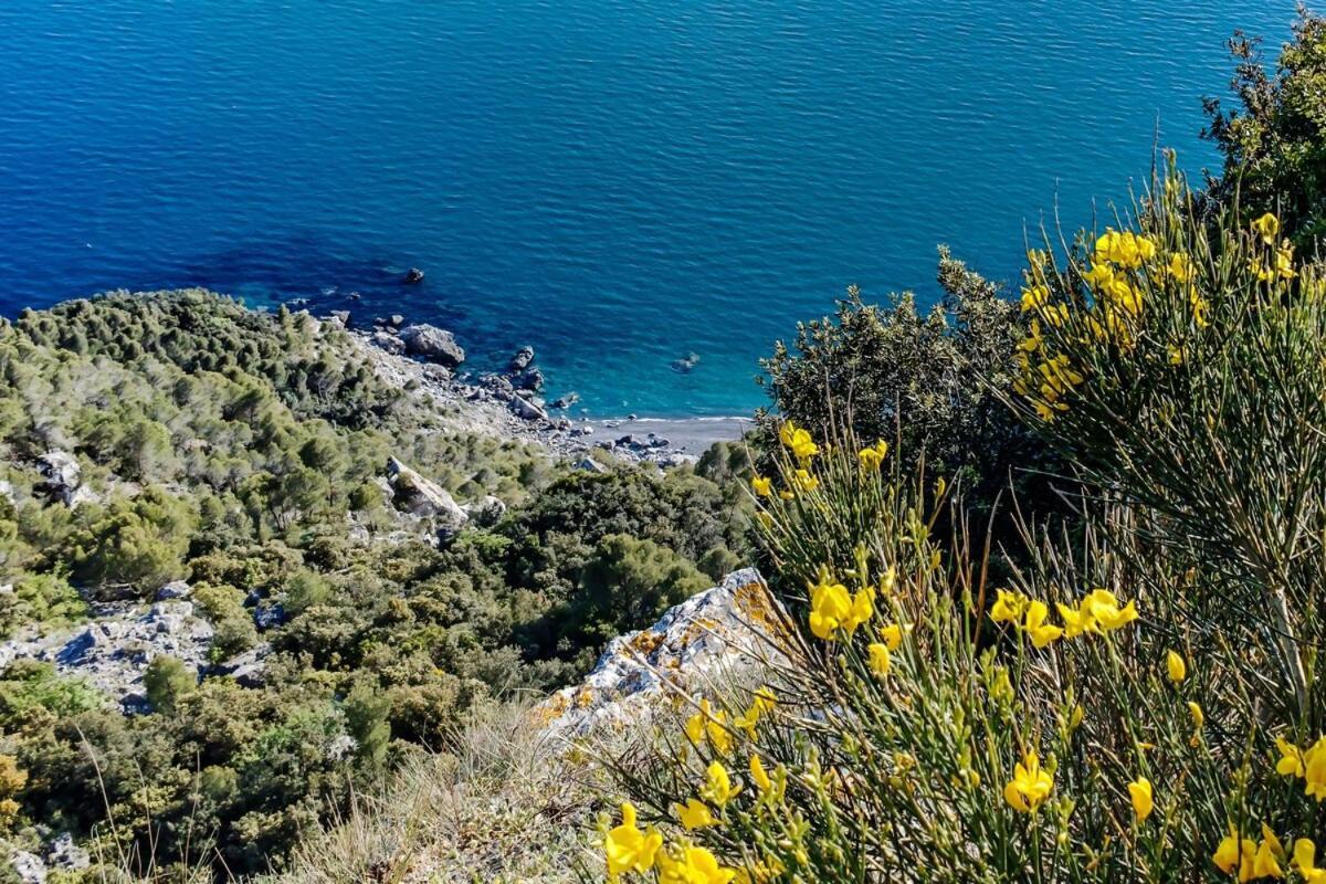 La Casa Fra Gli Ulivi Luxury Apartments With Pool Near Cinque Terre And Tuscany مونتيمارتشيلو المظهر الخارجي الصورة